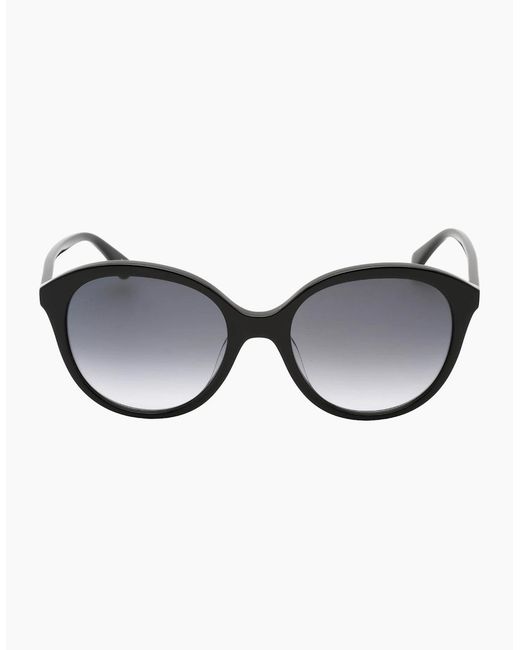 Kate Spade Black Bria/G/S Shaded Lens Sunglasses