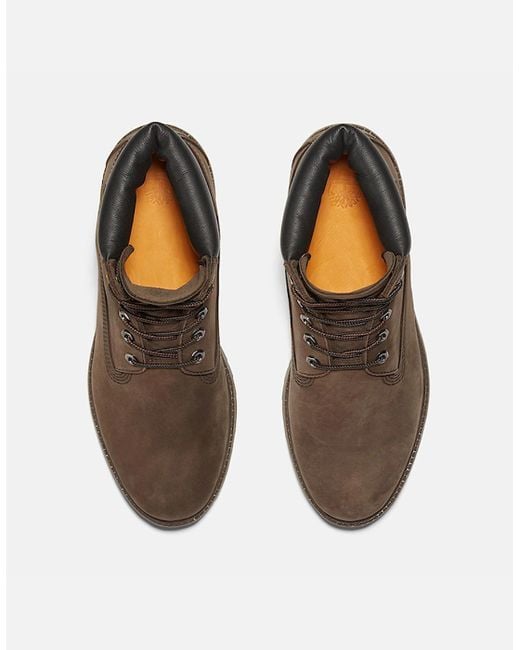 Timberland Brown Premium 6 Inch Waterproof Boot for men