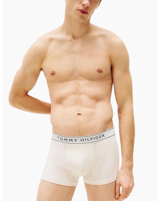 Tommy Hilfiger Blue Hipster Trunks Everyday Essential Cotton Boxers Stretch Fit for men
