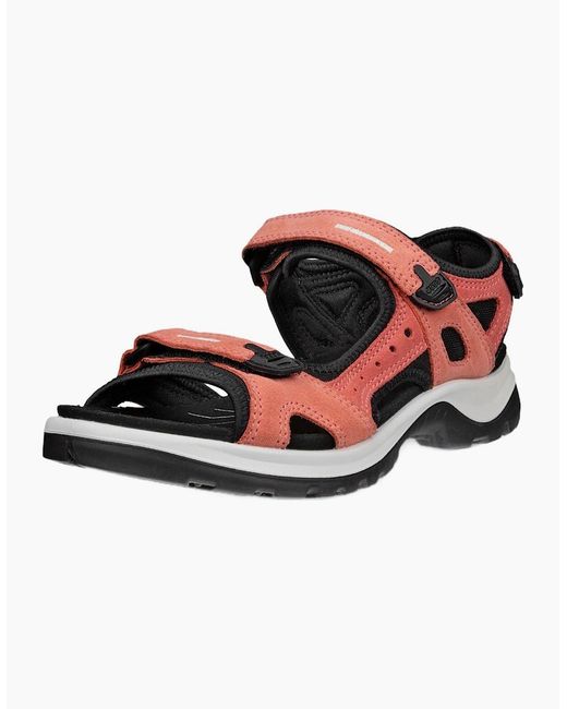 Ecco Black Offroad Nubuck Outdoor Walking Sandals