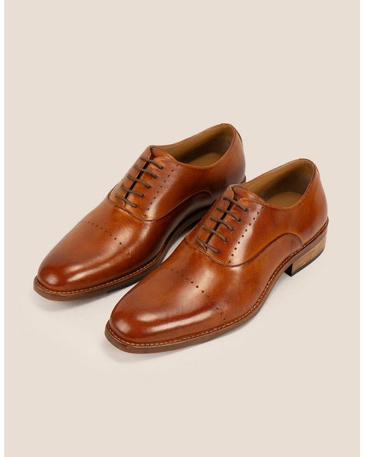 Oswin Hyde Brown Edward Tan for men