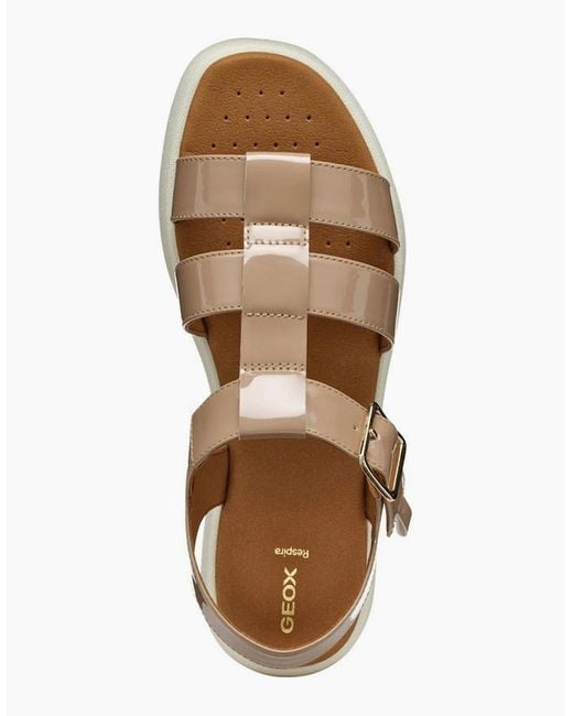 Geox Brown D Camalei Sandals