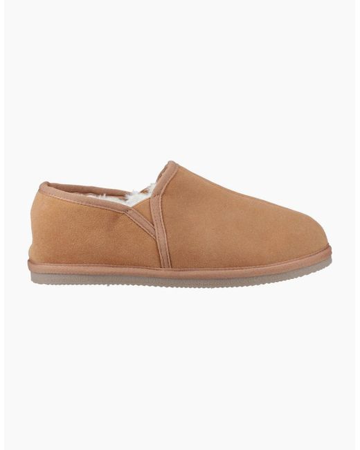 Hush Puppies Brown Aryan Slipper for men