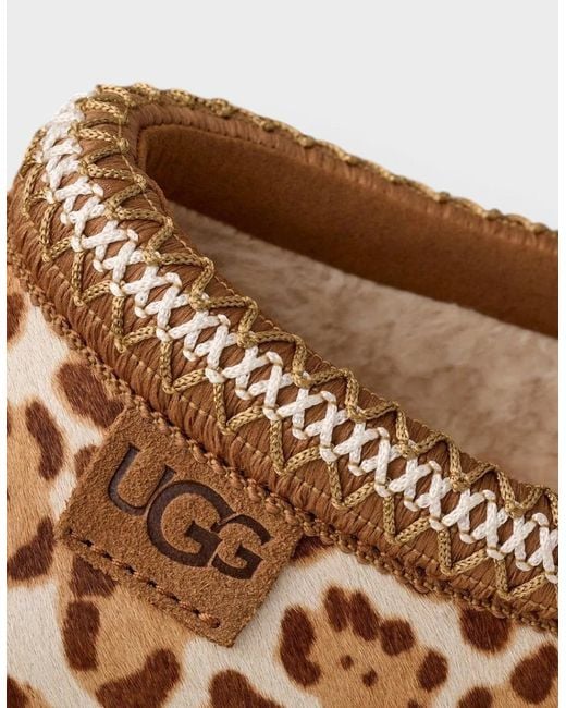 Ugg Brown Tazz Plains Felicity Leopard