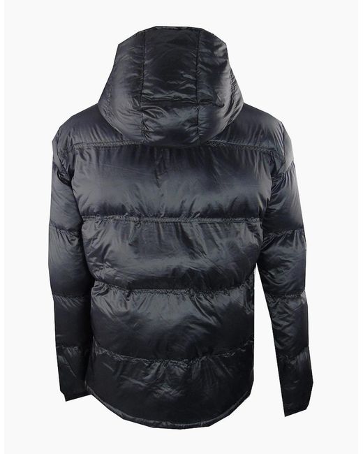EA7 Blue Plain Hooded Jacket for men