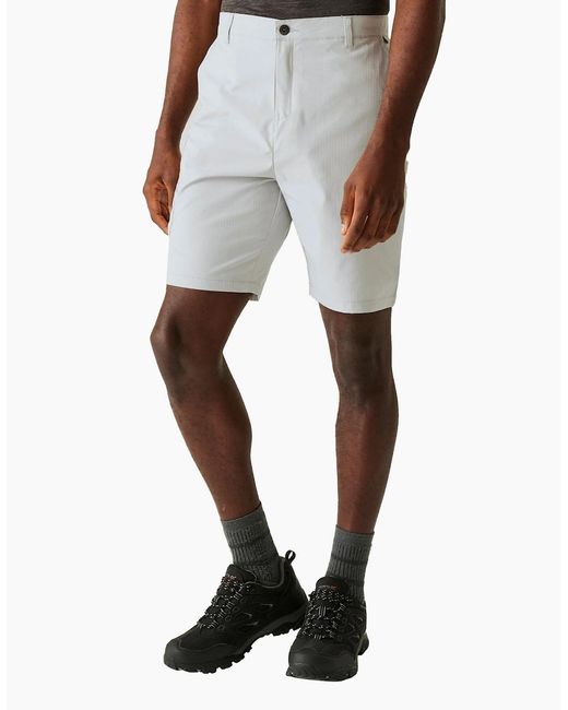 Regatta Gray Dalry Multi Pocket Shorts for men