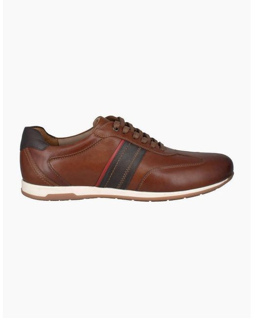 Josef Seibel Brown Colby 04 Trainers for men