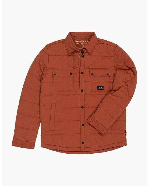 Bleubird Brown Hauler Padded Jacket