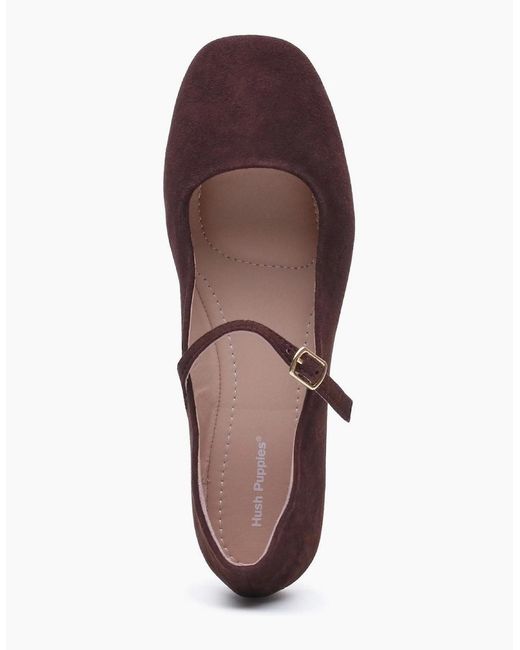 Hush Puppies Purple Pasha Suede Chocolate Flats