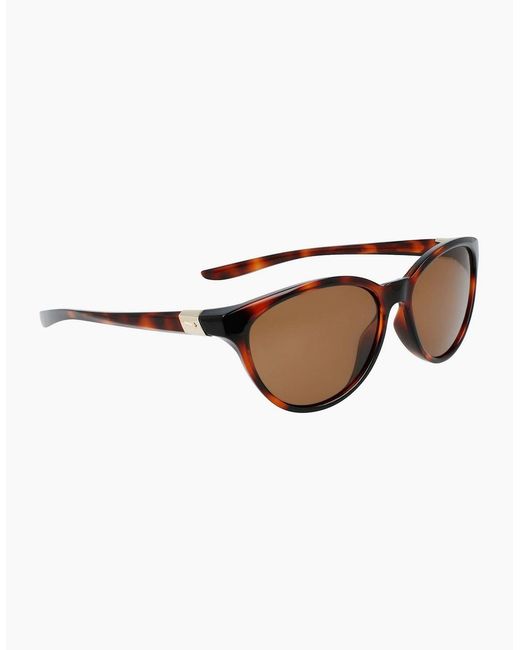 Nike Brown Persona Cat Eye Sunglasses for men