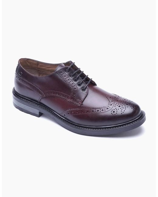 Base London Purple London Tanner Leather Bordo Brogues Shoes for men
