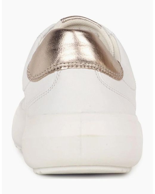 Gabor Natural Jade Trainer