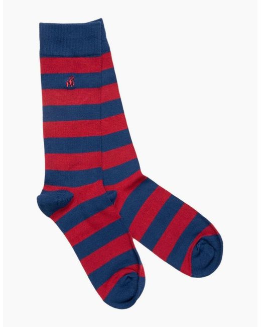 Swole Panda Blue Bamboo Socks Classic Stripe for men