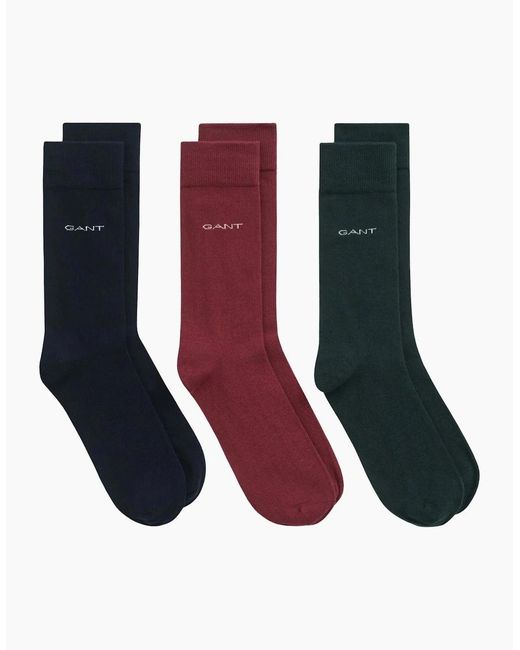 Gant White 3-Pack Soft Cotton Socks, Claret for men