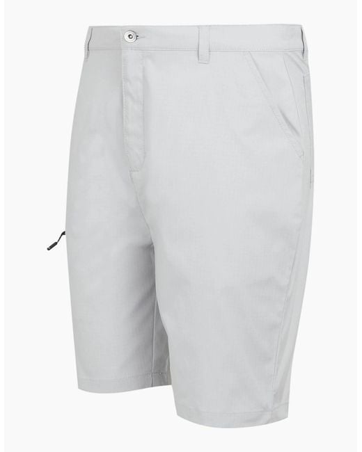 Regatta Gray Dalry Multi Pocket Shorts for men