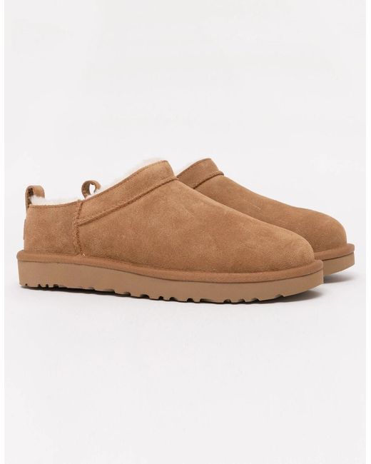 Ugg Brown Classic Micro Boots