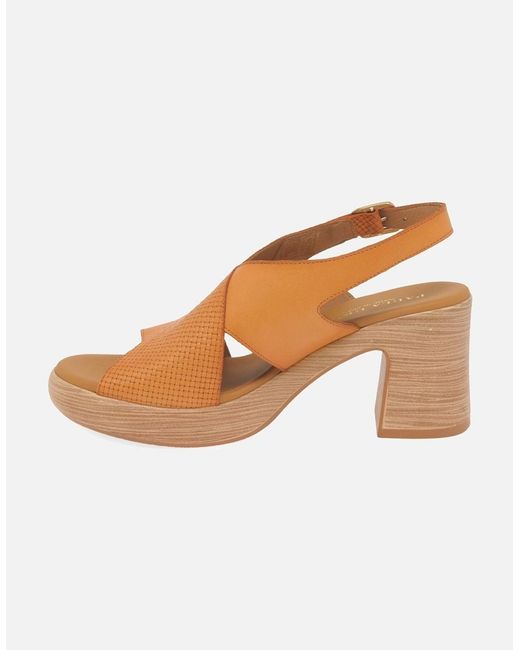 Paula Urban Brown Hideaway Sandals