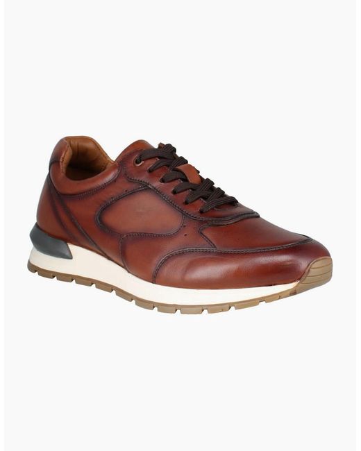 Josef Seibel Brown Carry 01 Trainers for men