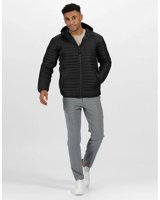 Regatta Black Professional Padded Jacket for men