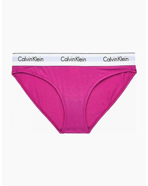Calvin Klein Pink Modern Cotton Bikini Brief, Bright