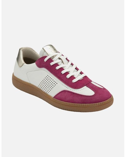 Lotus Pink Frapporta Trainers