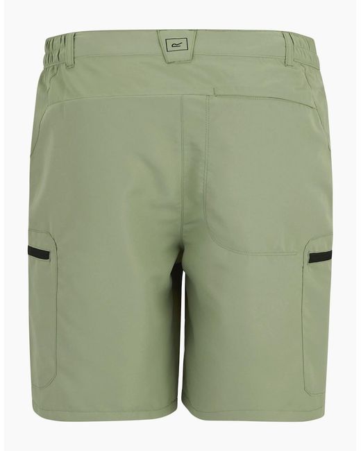 Regatta Green Leesville Iii Shorts for men
