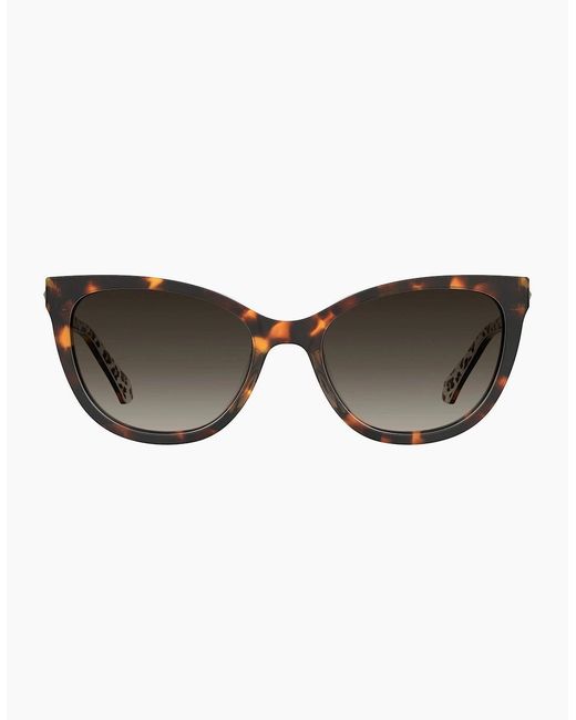 Moschino Brown Moscsun Cat Eye Sung