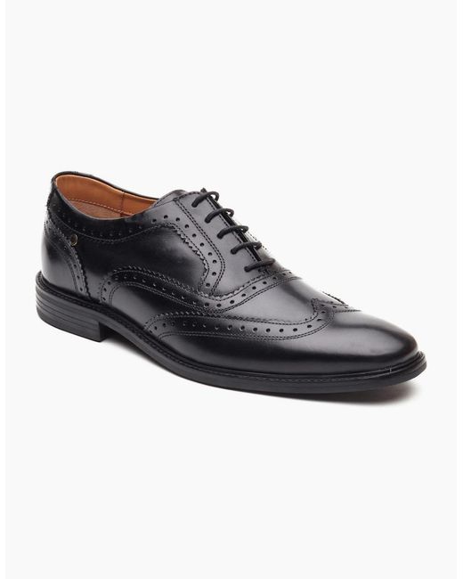 Base London Black Clarence Brogue Shoes for men