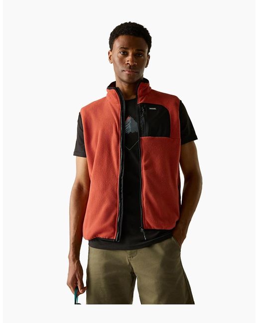 Regatta Brown Professional Frankie Fleece Gilet for men