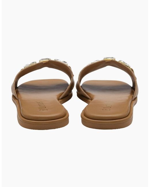 Lotus Brown Agueda Sandals