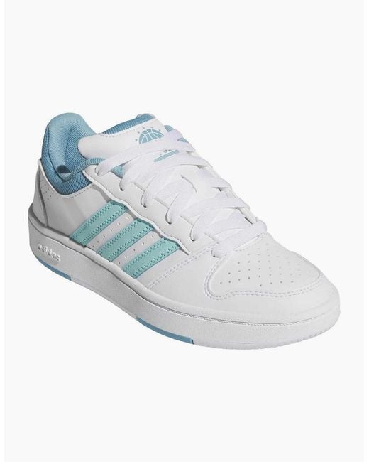 Adidas Blue Hoops Classic