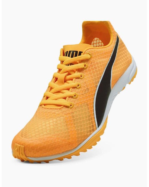 PUMA Orange Evospeed Haraka 8 Off Road Trail Running Shoes for men