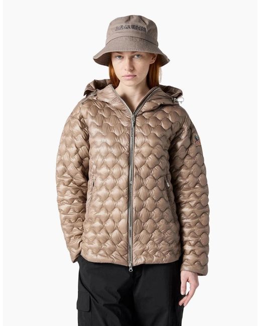 Parajumpers Brown Hooded Jacket