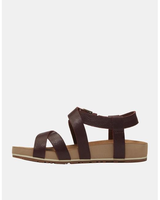 Timberland Brown Malibu Waves Sandals