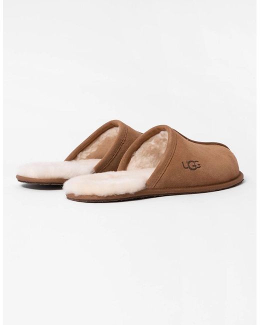 Ugg Brown Scuff Slipper for men