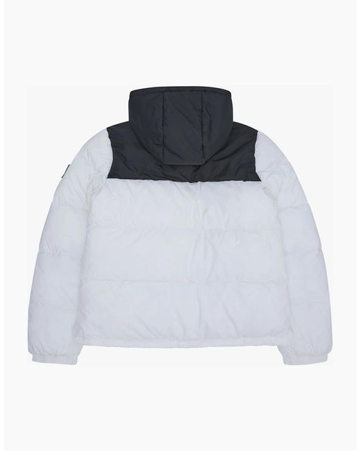 Reebok Blue Rb1569 Puffer Jacket for men