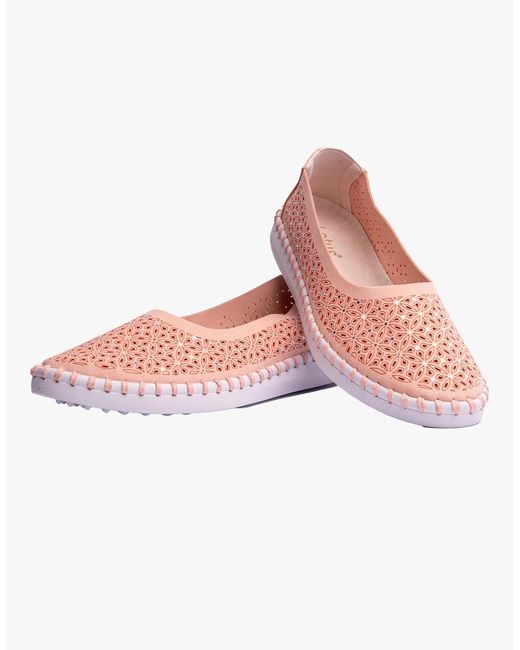 Lotus Pink Ewelina Shoes