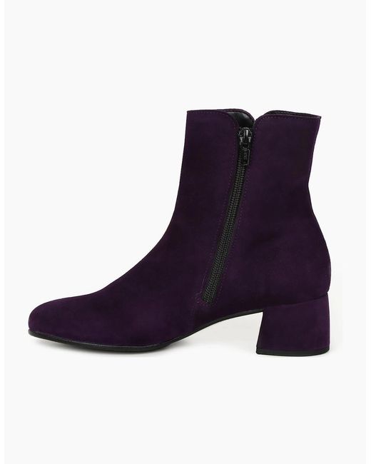 Gabor Purple Abbey Ankle Boots