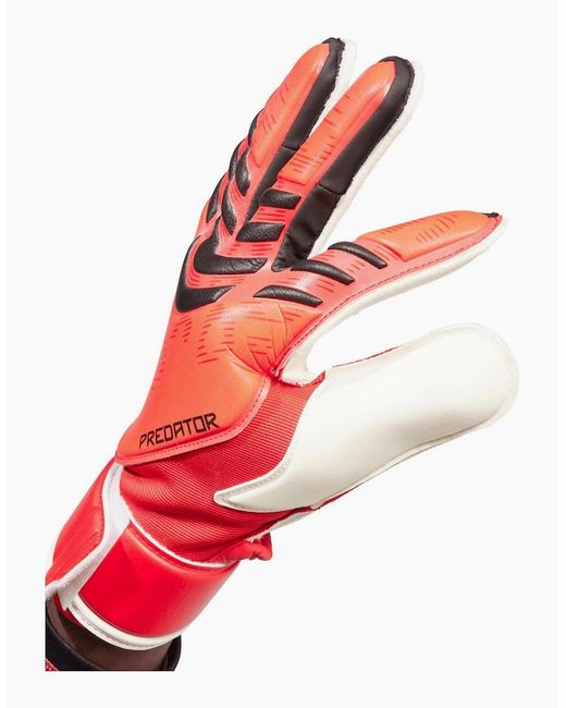 Adidas Pred Gl Mtc 99