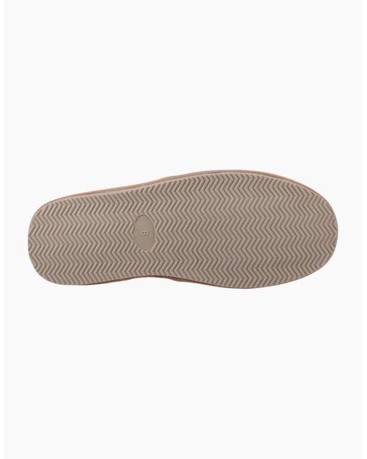 Hush Puppies Brown Aryan Slipper for men
