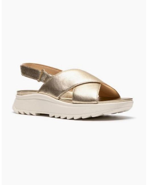 Clarks White Dashlite Wish