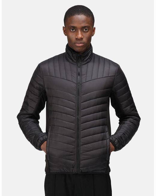Regatta Blue Tourer Hybrid Padded Jacket for men