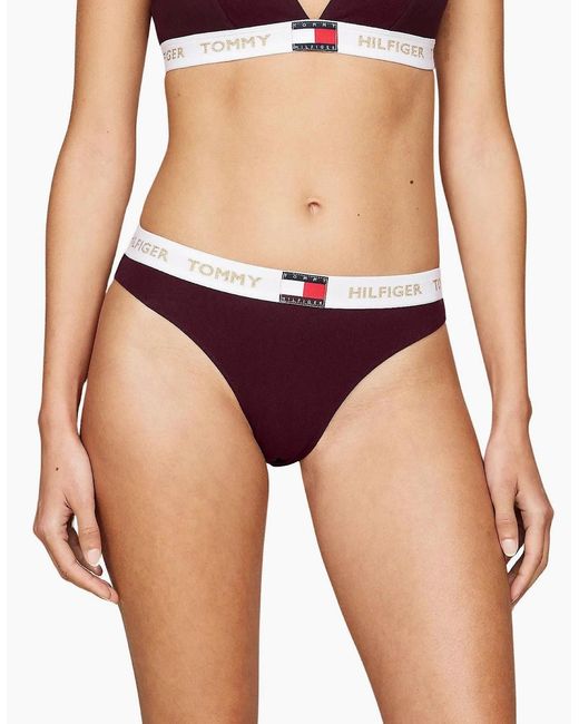 Tommy Hilfiger Purple Golden Heritage Bikini Brief, Burgundy