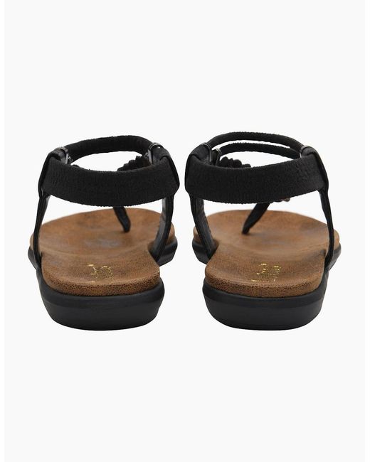 Lotus Black Sol Toe Post Sandals
