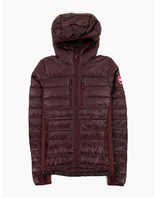 Canada Goose Purple Ladies Hybridge Lite Down Hoody Elderberry 810