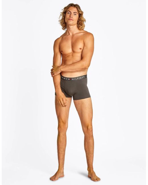 Tommy Hilfiger Blue 3-Pack Th Original Boxer Trunks, /Dark Ash/Desert Sky for men