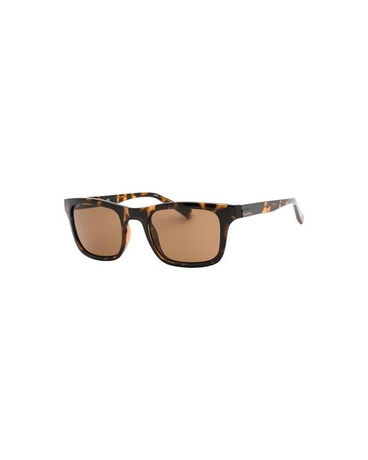 Calvin Klein Brown Lens Tortoise Sunglasses for men