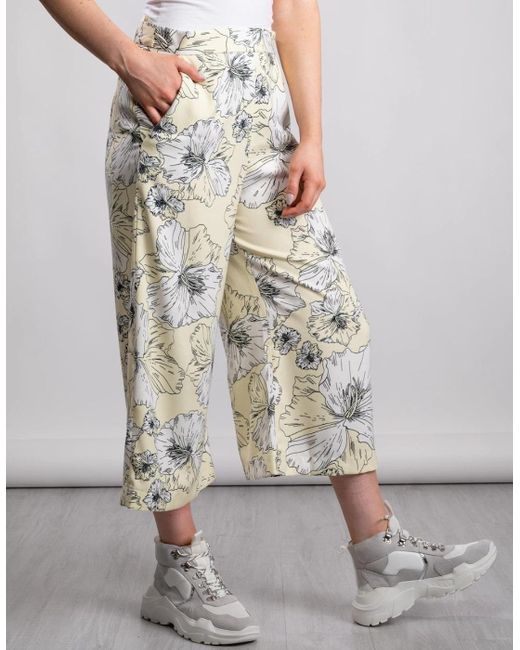 Great Plains Gray Great Plains Tropical Fauna Culotte
