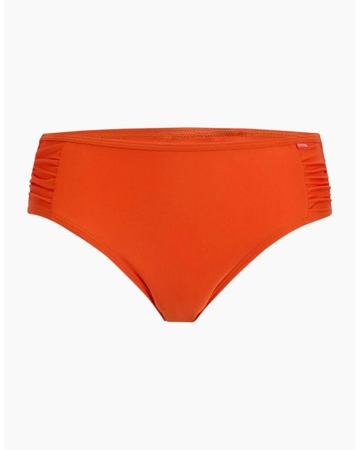 Regatta Orange Ladies Aceana Bikini Bottoms
