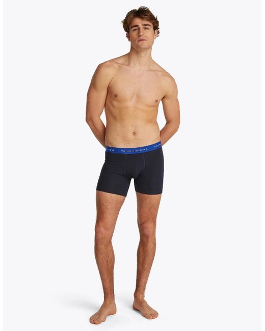Tommy Hilfiger Blue 3-Pack Signature Cotton Coloured Band Boxer Briefs, /Utility for men